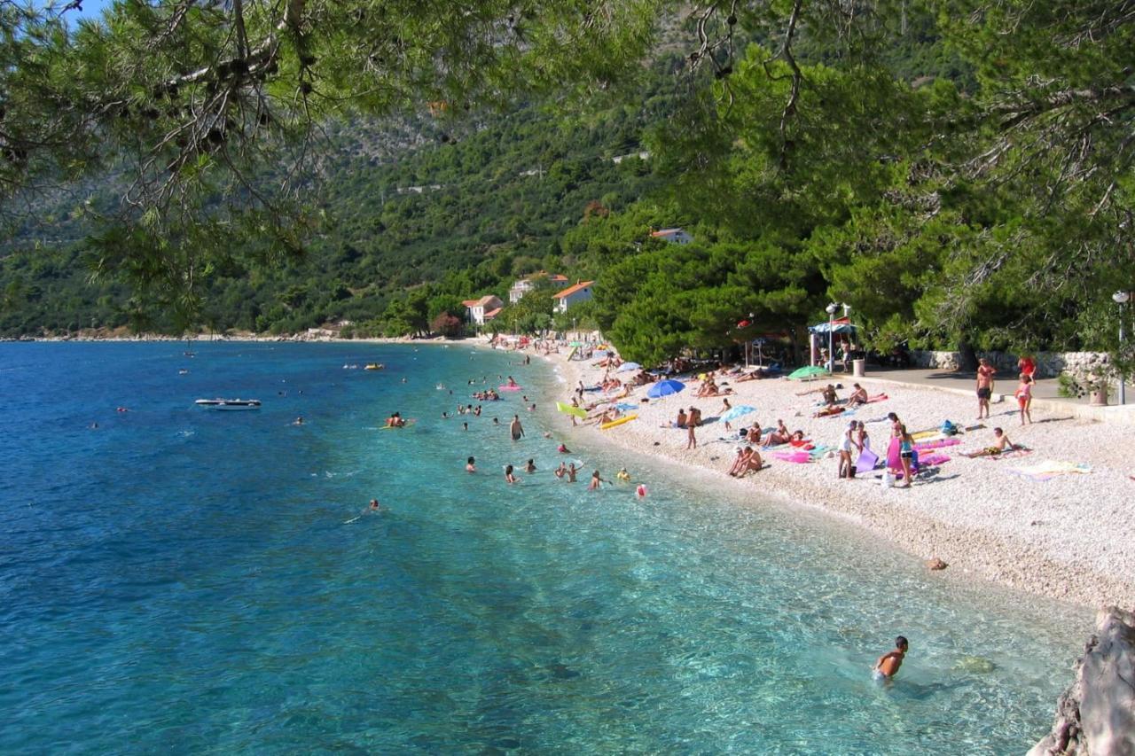 Apartments By The Sea Zivogosce - Porat, Makarska - 20207 Igrane Exterior foto